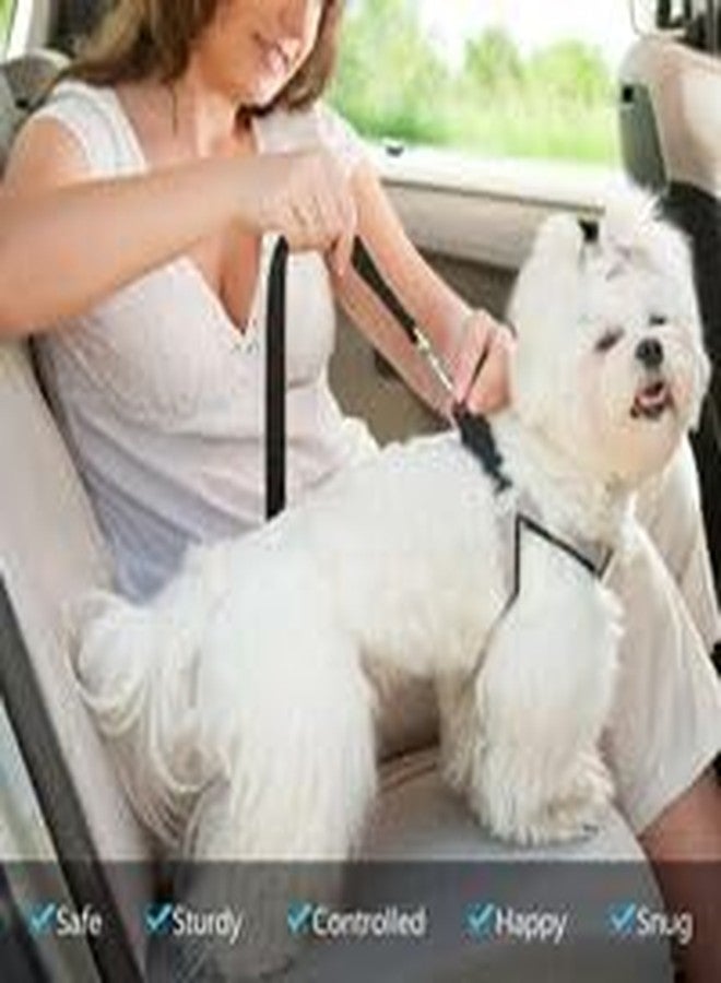 BLESSING PET SUPPLY Dog car seat Belts (Dog SEAT Belts, Black) - Image 4